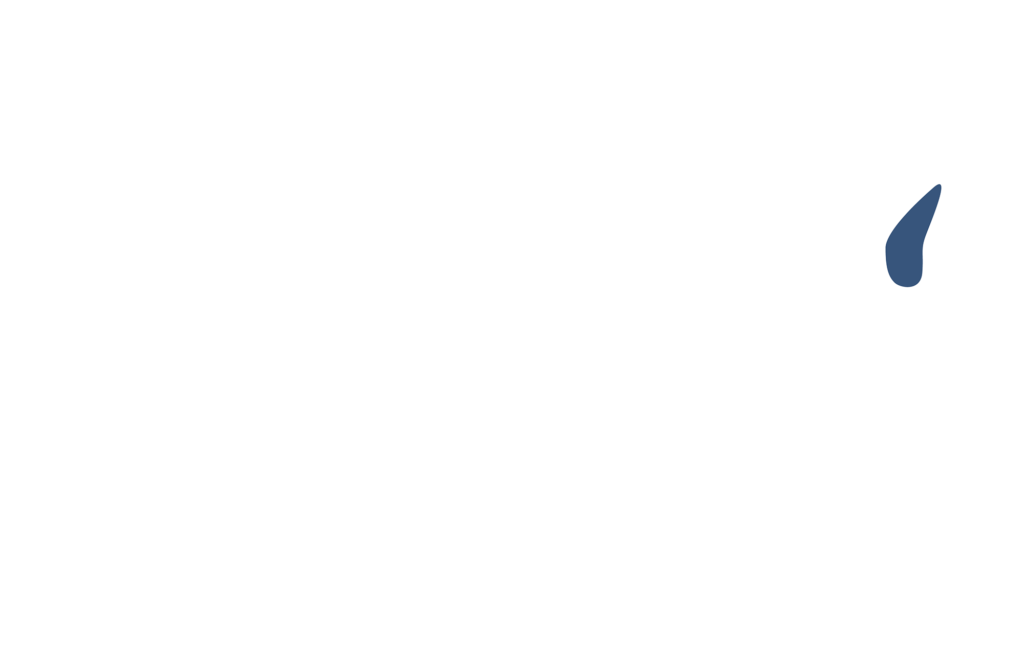 Buffalo graphic